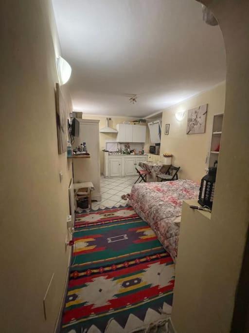 Appartamento Monolocale Carino Firenze Esterno foto